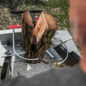 Kép 5/7 - AL-KO LSV 550/8 függőleges rönkhasító, 3.3kW, 8T