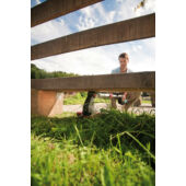 Kép 2/3 - AL-KO GTE 450 Comfort elektromotoros kasza, 450W, 30cm