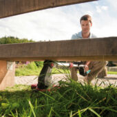 Kép 3/5 - AL-KO GTE 550 Premium elektromotoros kasza, 550W, 30cm