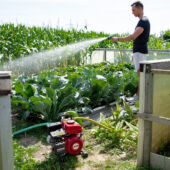 Kép 2/3 - AL-KO BMP 14000 benzinmotoros kerti szivattyú, 1200W