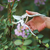 Kép 5/11 - Worth metszőolló Delux japán acél pengével (20,5 cm)