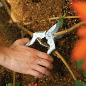 Kép 6/11 - Worth metszőolló Delux japán acél pengével (20,5 cm)