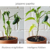 Kép 3/5 - Intelligens föld, természetes összetevőket tartalmazó virágföld 5 kg