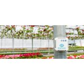 Kép 10/15 - TSense SENTINEL hőmérséklet és páratartalom megfigyelő adatgyűjtő eszköz