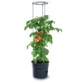 Kép 2/5 - Paradicsomültető cserép 40 cm-es