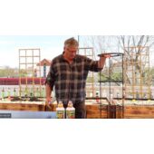 Kép 4/5 - Paradicsomültető Cserép 30 cm-es