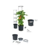 Kép 3/5 - Paradicsomültető Cserép 30 cm-es