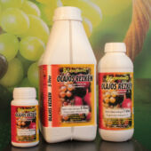 Kép 2/2 - Olajos rézkén SE lemosó permetezőszer 250 ml