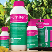Kép 1/1 - Flumite 200 rovarölő permetezőszer 100 ml 