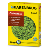 Kép 1/10 - Barenbrug Dichondra – Zöld talajtakaró