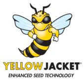 Kép 6/6 - Barenbrug Water Saver pázsitmag, fűmag (szárazságtűrő)  1kg