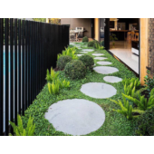 Kép 4/10 - Barenbrug Dichondra – Talajtakaró zöld szőnyeg 500 g