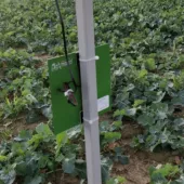 Kép 3/3 - Doxmand kiegészítő napelem 4.5W VR4 és VR8 vadriasztókhoz