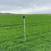 Kép 1/3 - Doxmand Horganyzott acél oszlop