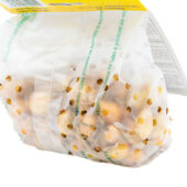 Kép 2/2 - Dughagyma Stuttgarter Riesen  300g