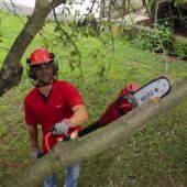 Kép 6/6 - Einhell GC-EC 750 T KIT elektromos magassági ágvágó láncfűrész