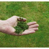 Kép 4/16 - Einhell GC-PM 51/3 S HW-E benzines fűnyíró 2.7kW, 70L, 51cm