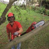 Kép 12/12 - Einhell GC-EC 750 T elektromos magassági ágvágó láncfűrész, 750W, 200mm