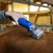 Kép 7/9 - Aesculap Econom II szarvasmarha/ló nyírógép, 200W