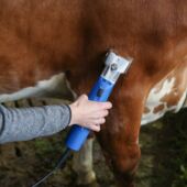 Kép 8/9 - Aesculap Econom II szarvasmarha/ló nyírógép, 200W