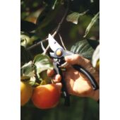 Kép 4/10 - Fiskars Professzionális metszőolló P90