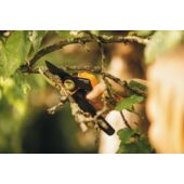 Kép 12/12 - Fiskars PowerGearX™ metszőolló, mellévágó (L) PX94