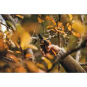Kép 5/12 - Fiskars PowerGearX™ metszőolló, mellévágó (L) PX94