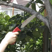 Kép 6/6 - Nishigaki ágfűrész tokkal Sayanoko 330mm N-745 (Japán) 