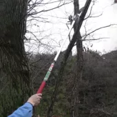 Kép 13/15 - Nishigaki ágfűrész teleszkópos 3m N-754 (japán)