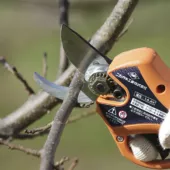 Kép 6/13 - Nishigaki Futomaru-Handy 25 akkus metszőolló