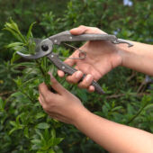 Kép 6/9 - Nishigaki metszőolló 180mm N-202 (japán)