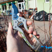 Kép 10/11 - Worth metszőolló Delux japán acél pengével (20,5 cm)