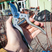 Kép 11/11 - Worth metszőolló Delux japán acél pengével (20,5 cm)