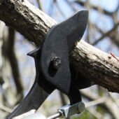 Kép 7/19 - Nishigaki japán ágvágó futomaru 100 cm, N-153