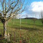 Kép 15/15 - Nishigaki ágfűrész teleszkópos 3m N-754 (japán)