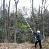 Kép 5/12 - Nishigaki ágfűrész teleszkópos 6,5m N-763 (japán)