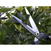 Kép 8/8 - Nishigaki sövényvágó KARIKICHI rövid nyél 160mm N-370 (japán)