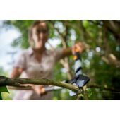 Kép 4/8 - Fiskars SmartFit teleszkópos ágvágó L86