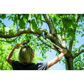 Kép 8/12 - Fiskars PowerGearXfém fogaskerekes ágvágó (M) méret