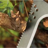 Kép 5/5 - Fiskars Solid™ kampós bozótvágó fűrésszel 45 cm