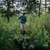Kép 3/4 - Fiskars Ergonomic gereblye, fém fejjel ívelt nyéllel