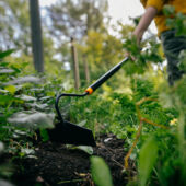 Kép 2/3 - Fiskars Solid kapa