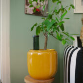 Kép 5/7 - Fiskars Urban Gardening öntözővíz adagoló (3,5 dl) 