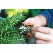 Kép 2/3 - Fiskars Solid fűszernövényvágó olló SP220