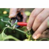 Kép 3/3 - Fiskars Solid fűszernövényvágó olló SP220