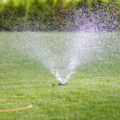 Kép 2/5 - Fiskars álló esőztető, kerek