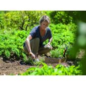 Kép 6/7 - Fiskars Premium ültetőkanál