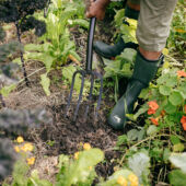 Kép 6/7 - Fiskars Solid™ ásóvilla 1220 mm