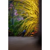 Kép 2/3 - Garden Lights Alder szett, 3db spotlámpa, led, meleg fehér A+