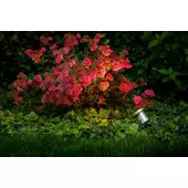 Kép 2/3 - Garden Lights Arigo, spotlámpa, rozsdamentes, LED 3 W, meleg fehér